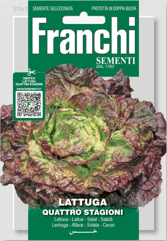 Sałata masłowa Quattro Stagioni nasiona vis 8g FRANCHI sklep rajogrodnika